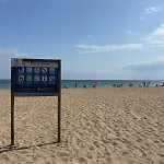 Marinas דניה